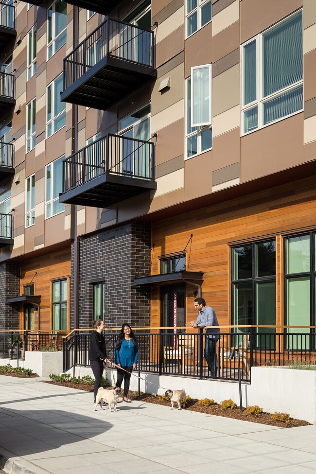 The Carter on The Park