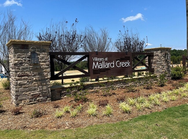 13032 Gadwal Pintail Dr in Charlotte, NC - Building Photo - Building Photo