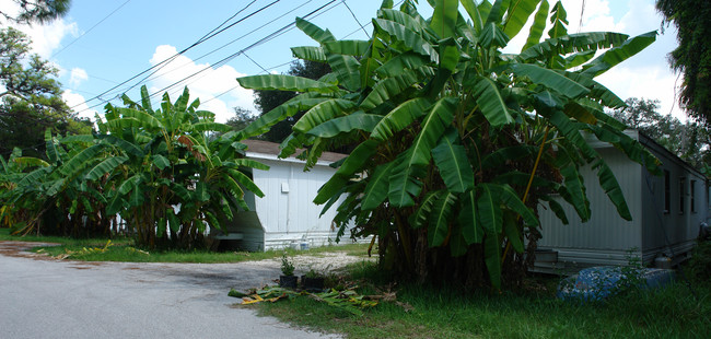 14501 Old Dixie Hwy in Hudson, FL - Foto de edificio - Building Photo