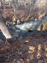 40 Country Club Cir in Stratford, CT - Building Photo - Building Photo