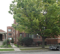 7147 S Constance Ave in Chicago, IL - Building Photo