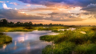 1 Regents and UC Blvd in Union City, CA - Building Photo