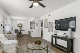 SoHo Apartments in Tampa, FL - Building Photo