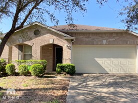 4103 Oakview Creek Ln in Houston, TX - Building Photo