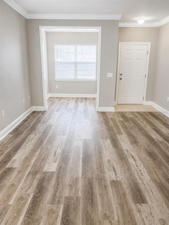 property at 303 Southern Pecan Cir