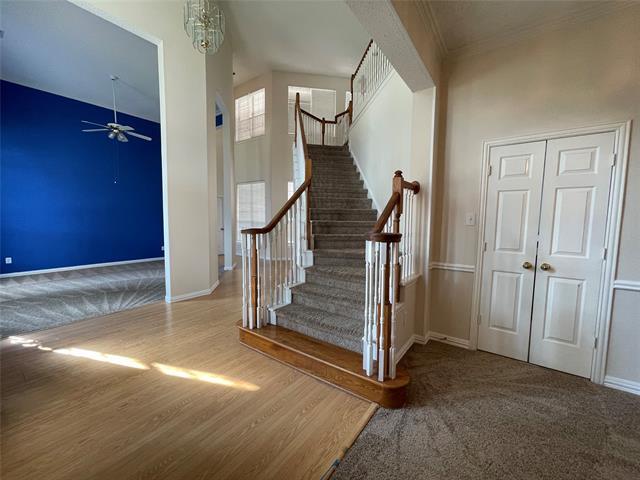 4533 Reunion Dr in Plano, TX - Building Photo - Building Photo