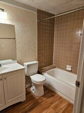 129 Camphor Cir, Unit 129F in Oldsmar, FL - Building Photo - Building Photo