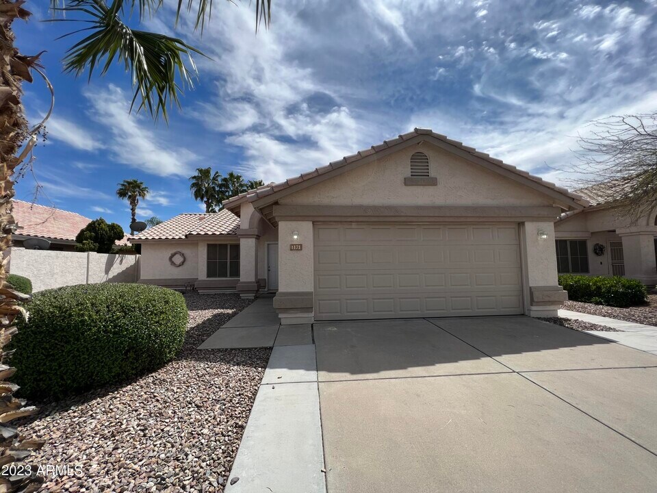 1171 W Goldfinch Way in Chandler, AZ - Building Photo