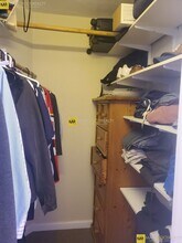 154 Harvard St, Unit 7 in Brookline, MA - Building Photo - Building Photo