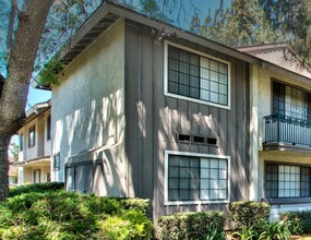 Pine Garden Village in Riverside, CA - Foto de edificio - Building Photo