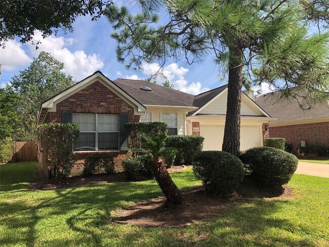 2919 Foxden Dr in Pearland, TX - Building Photo - Building Photo