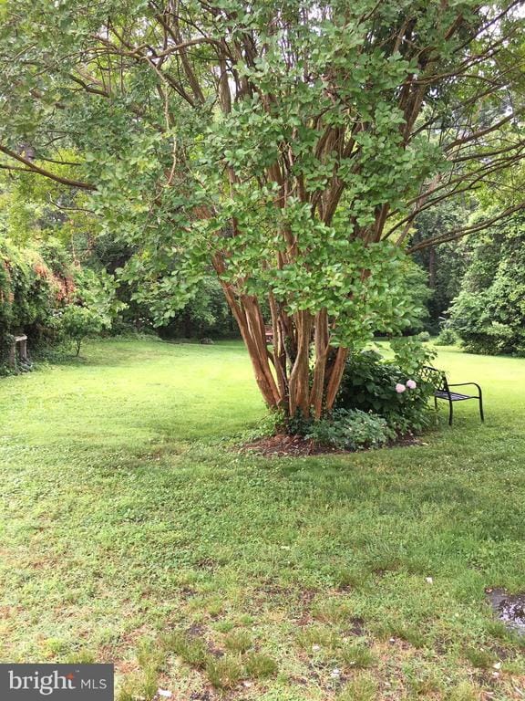 property at 4418 N Old Glebe Rd