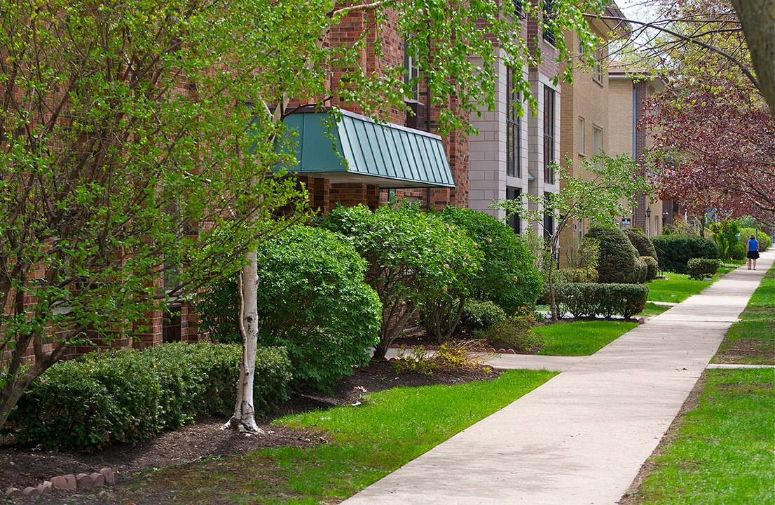 204 Marengo Ave. in Forest Park, IL - Foto de edificio