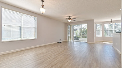 145 Grey Widgeon Ct in Daytona Beach, FL - Building Photo - Building Photo