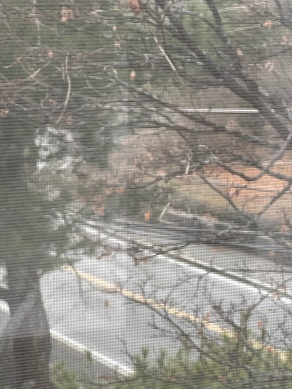 78 Lorenzo Cir in Methuen, MA - Building Photo - Building Photo