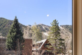 1006 E Hyman Ave in Aspen, CO - Building Photo - Building Photo