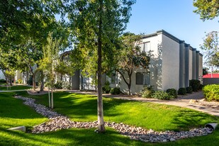 North Country Club Apartments in Mesa, AZ - Building Photo