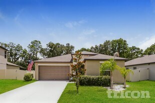 4128 Salt Springs Ln in Lakeland, FL - Building Photo