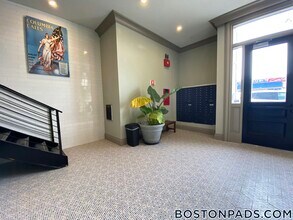1258 Massachusetts Ave in Boston, MA - Building Photo - Building Photo