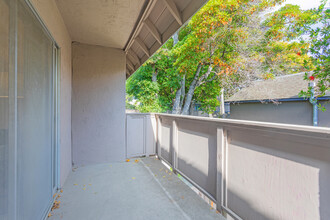 Washington Square Apartments in Mountain View, CA - Building Photo - Interior Photo