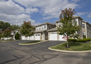 The Reserve at Preston Woods in Westerville, OH - Building Photo - Building Photo