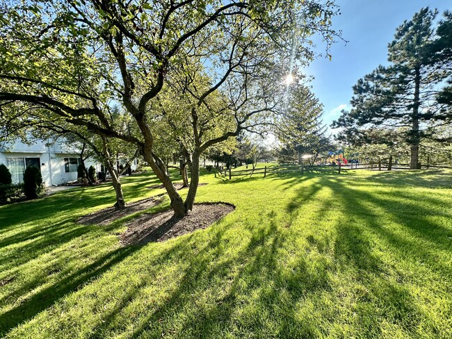 property at 270 Sierra Pass Dr