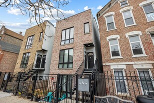 1738 W 17th St in Chicago, IL - Building Photo