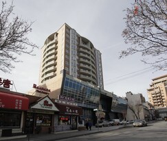 Prince Plaza in Flushing, NY - Building Photo