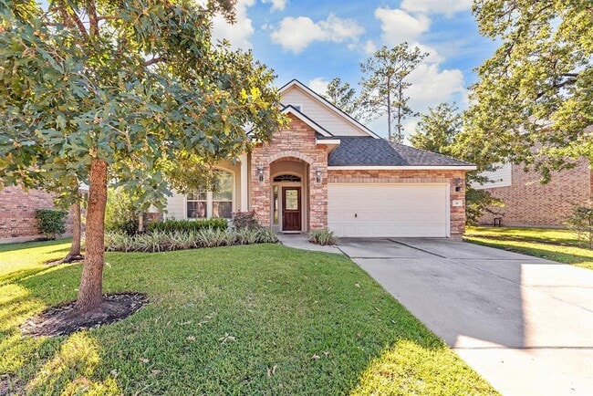 19 N Rocky Point Cir in The Woodlands, TX - Building Photo - Building Photo