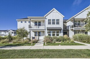 2060 Autumn Moon Dr in Windsor, CO - Building Photo