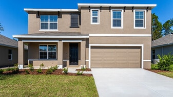 31013 Summer Sun Lp in Wesley Chapel, FL - Building Photo