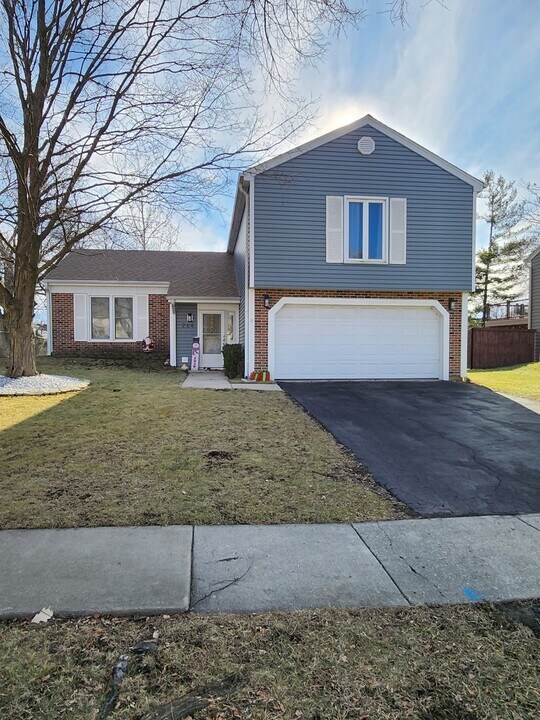 264 Lincoln Dr in Bartlett, IL - Building Photo