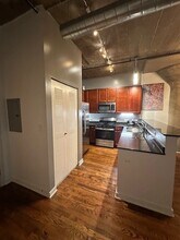 1001 W 15th St, Unit 220 in Chicago, IL - Building Photo - Building Photo