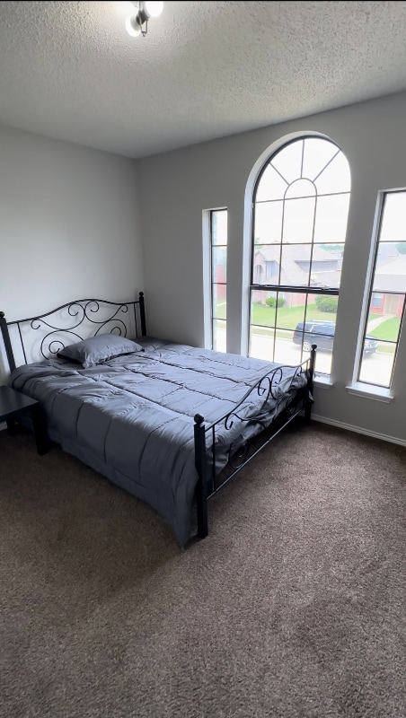 12714 Hilltop Dr in Balch Springs, TX - Foto de edificio - Building Photo