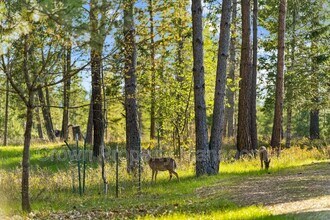 495 Van Sant Rd in Kalispell, MT - Building Photo - Building Photo