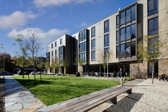 7 Beech St, Unit 312 in Cambridge, MA - Foto de edificio - Building Photo