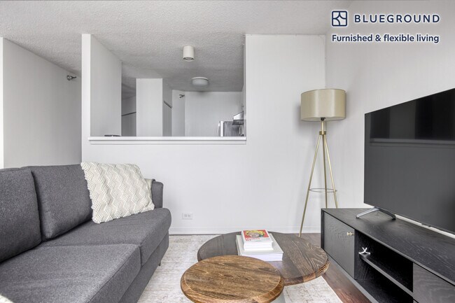 445 E Ohio St in Chicago, IL - Building Photo - Building Photo