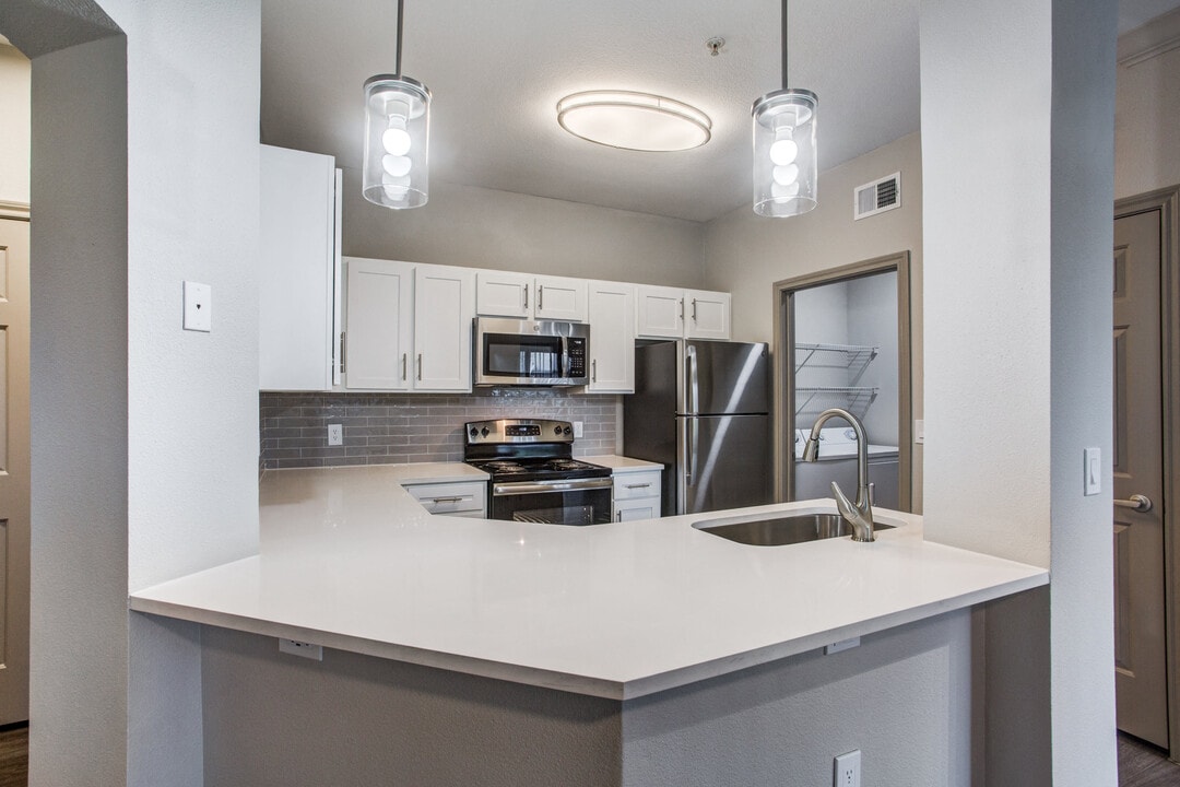 Aventura on Briar Forest Photo