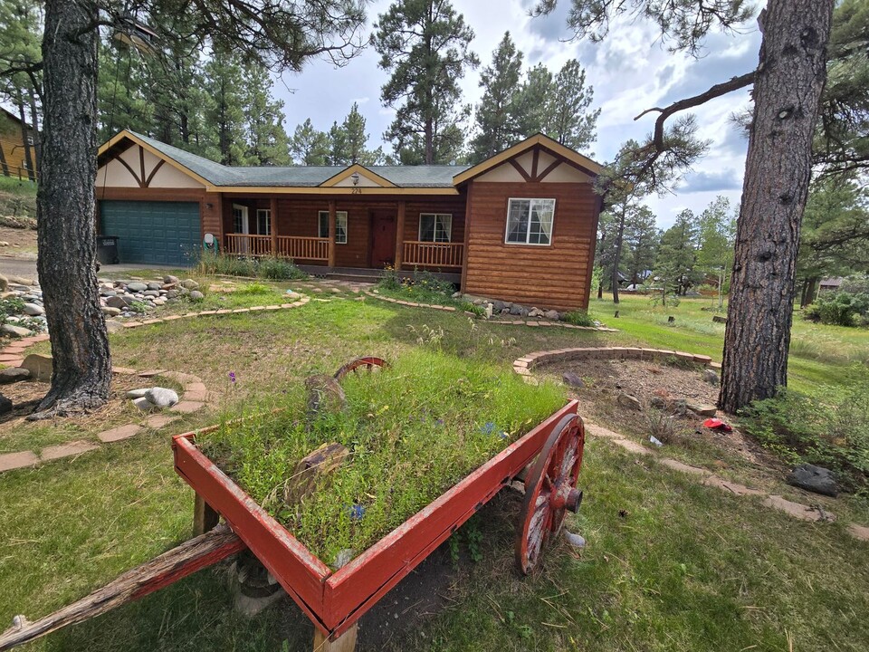 224 Capitan Cir in Pagosa Springs, CO - Foto de edificio