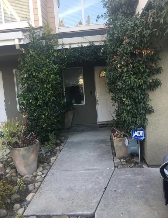 property at 14 Orange Blossom Way