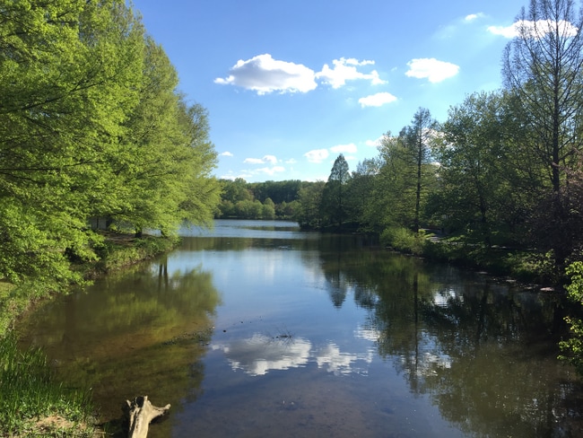 property at 7753 New Providence Dr