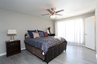 Lakeside Forest photo'