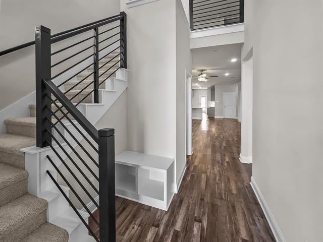 10595 Downy Cup Dr in Frisco, TX - Building Photo - Building Photo