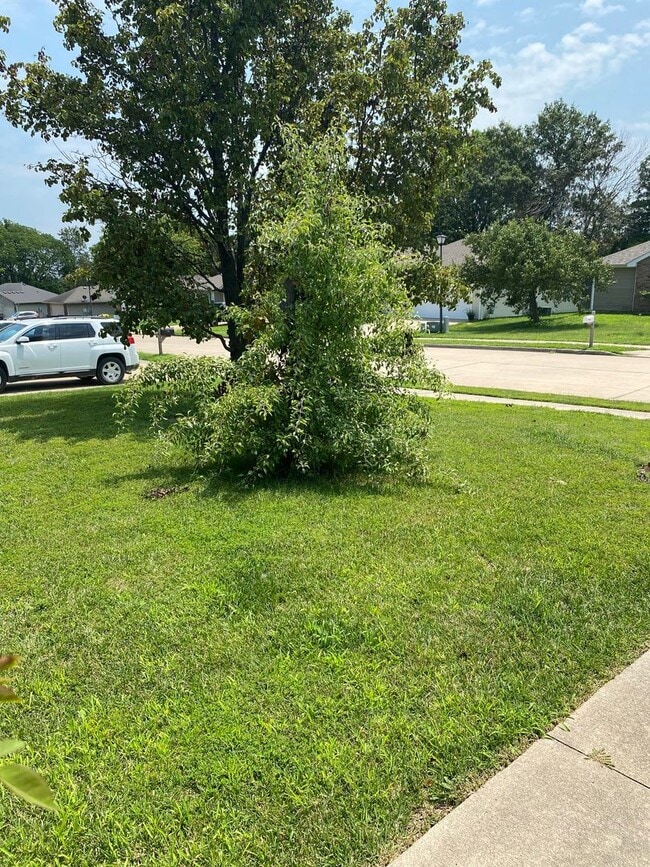 1701 Typhoon Dr in Columbia, MO - Building Photo - Building Photo