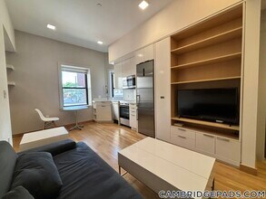 115 Mt Auburn St in Cambridge, MA - Building Photo - Building Photo