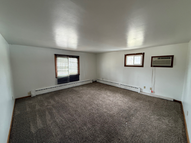 302 Carroll St in Sanborn, IA - Building Photo - Building Photo