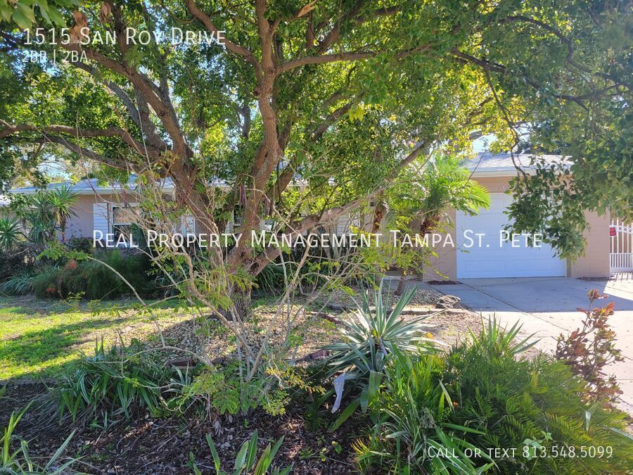 1515 San Roy Dr in Dunedin, FL - Building Photo