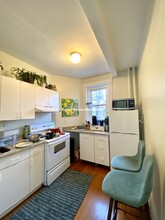 203 Winthrop Rd, Unit 1 in Brookline, MA - Building Photo - Building Photo