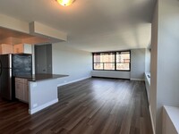 1231 S Wabash Ave, Unit 1003 in Chicago, IL - Building Photo - Building Photo