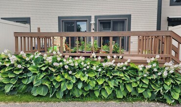 1226 Charleston Ct in Northville, MI - Building Photo - Building Photo